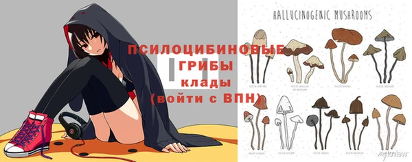 бошки Баксан