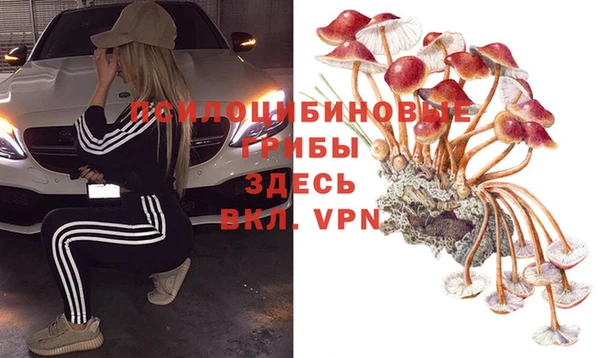 бошки Баксан