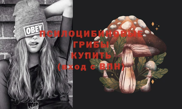 бошки Баксан