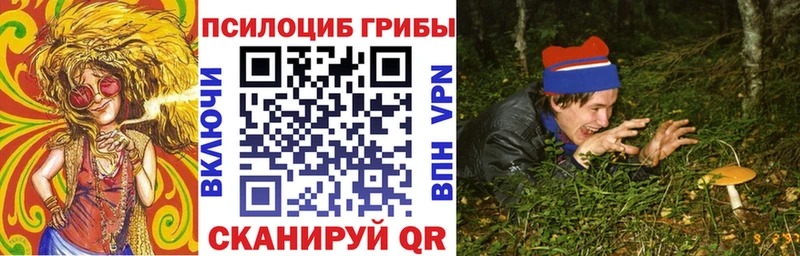 Псилоцибиновые грибы ЛСД  даркнет сайт  Кунгур 