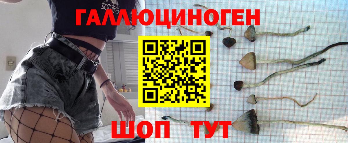 Псилоцибиновые грибы GOLDEN TEACHER Кунгур